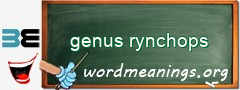 WordMeaning blackboard for genus rynchops